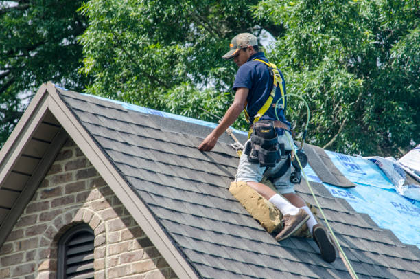 Reliable Eden, NC Roofing Contractor Solutions
